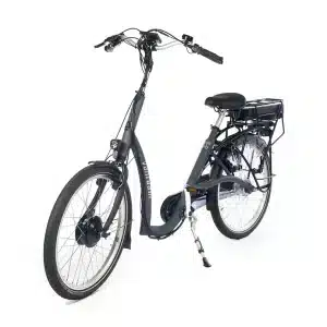 van raam balance lage instapfiets