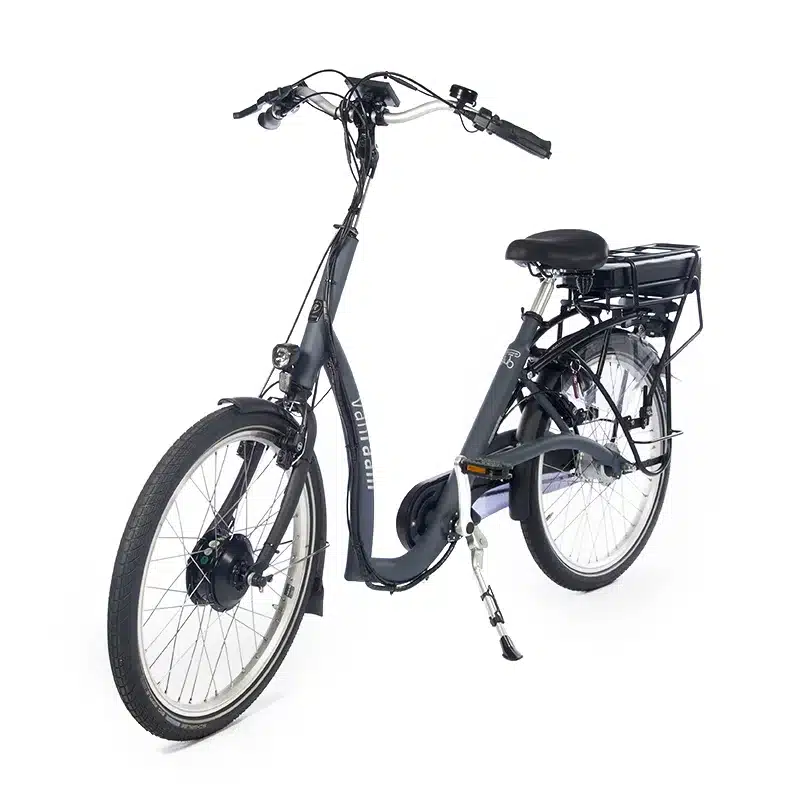 van raam balance lage instapfiets